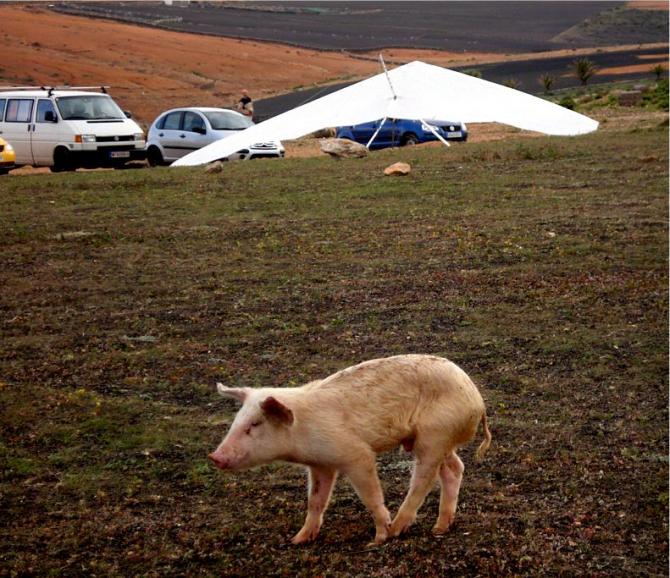 Bei so einem Wetter fliegt in Famara keine Sau